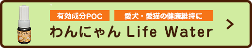 【有効成分POC】【愛犬・愛猫の健康維持に】わんにゃん Life Water