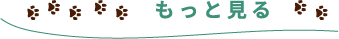 もっと見る
