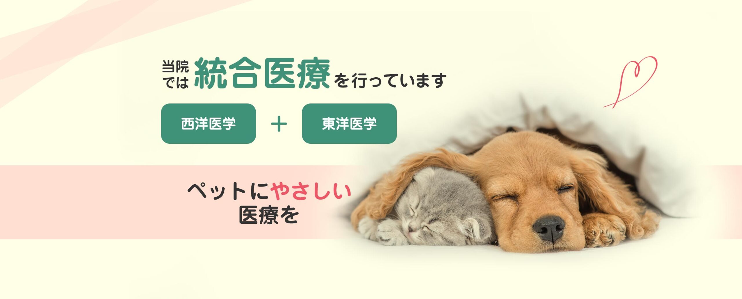 いすみ動物病院では統合医療を行っています。西洋医学＋東洋医学でペットにやさしい医療を。詳しくはこちら