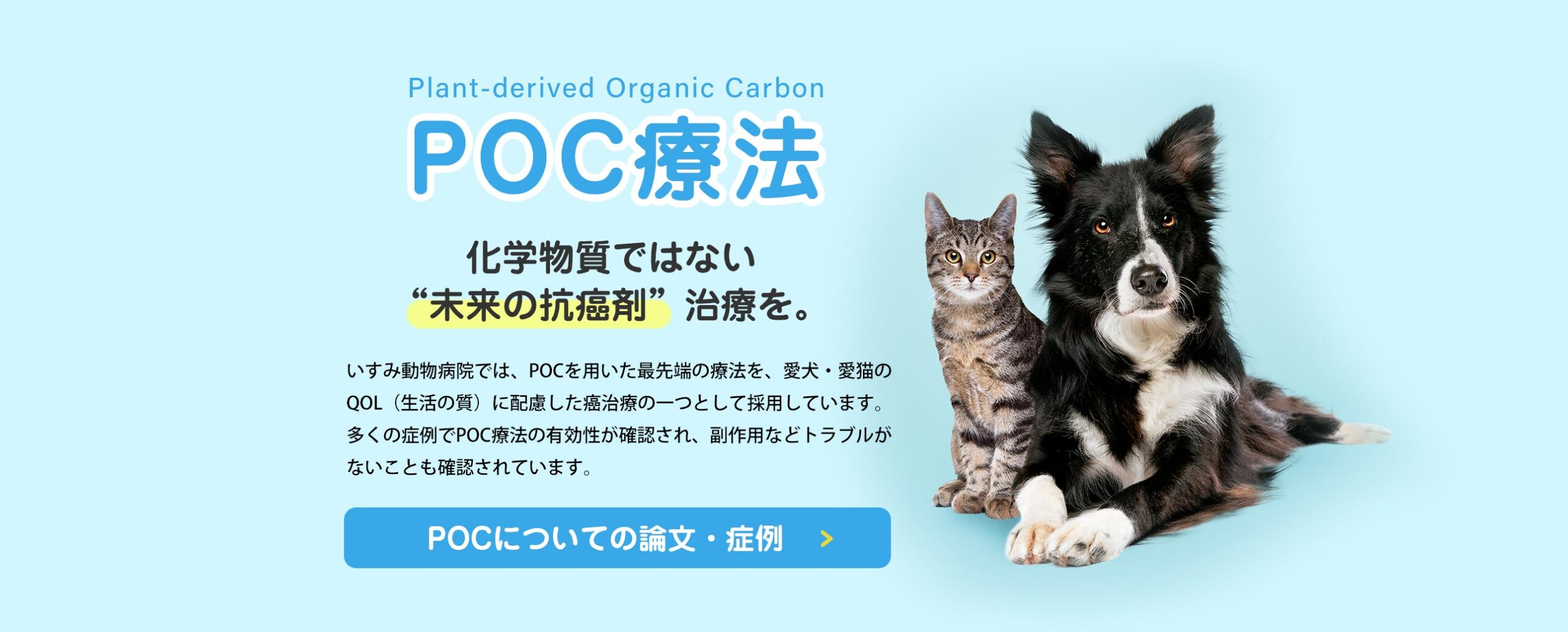 【POC療法】化学物質ではない“未来の抗癌剤”治療を。いすみ動物病院では、POCを用いた最先端の療法を、愛犬・愛猫のQOL（生活の質）に配慮した癌治療の一つとして採用しています。多くの症例でPOC療法の有効性が確認され、副作用などトラブルがないことも確認されています。POCについての論文・症例はこちら。