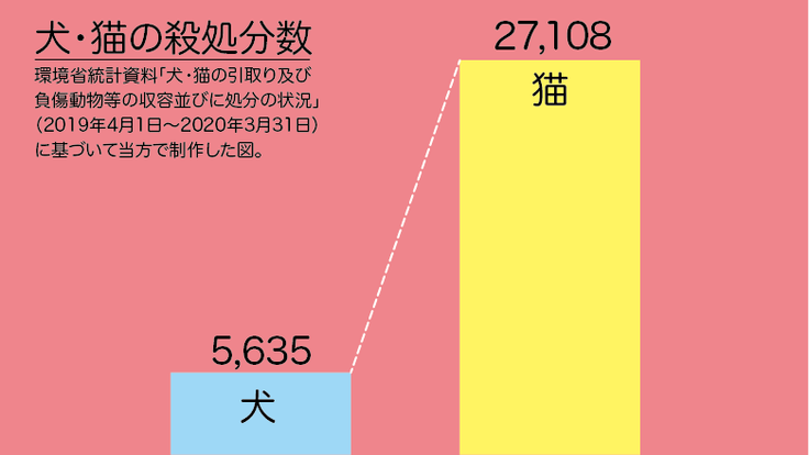 犬・猫の殺処分数。猫は犬の約5倍です。