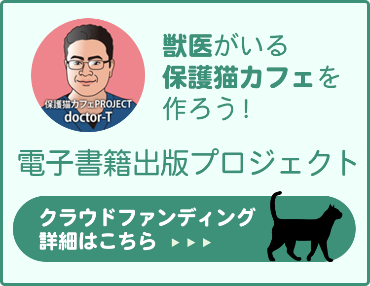 獣医がいる保護猫カフェを作ろう！電子書籍出版プロジェクト　クラウドファンディング・詳細はこちら