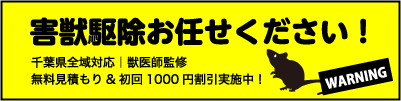 害獣駆除お任せください！【千葉県全域対応】【獣医師監修】無料見積＆初回1,000円割引実施中！いすみ動物病院×シン・エビスの害獣駆除