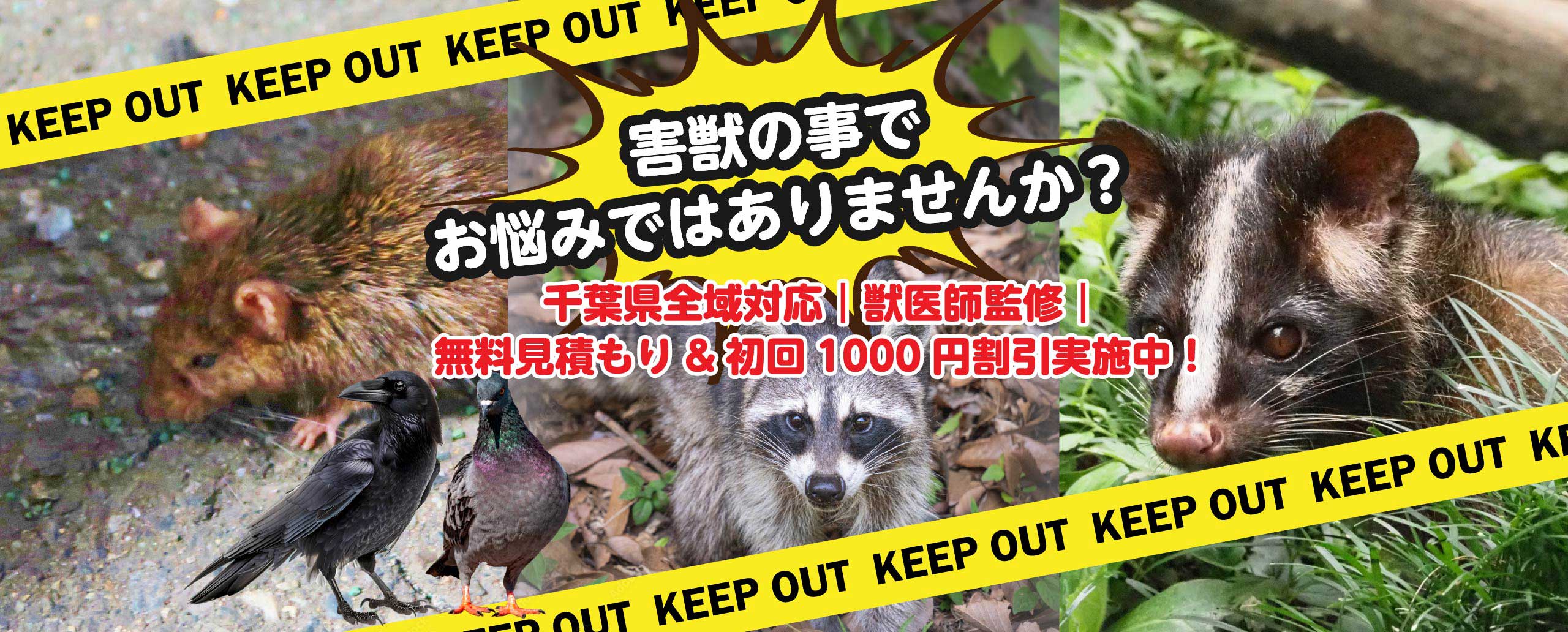 害獣のことでお悩みではありませんか？【千葉県全域対応】【獣医師監修】無料見積＆初回1,000円割引実施中！害獣駆除はこちら！